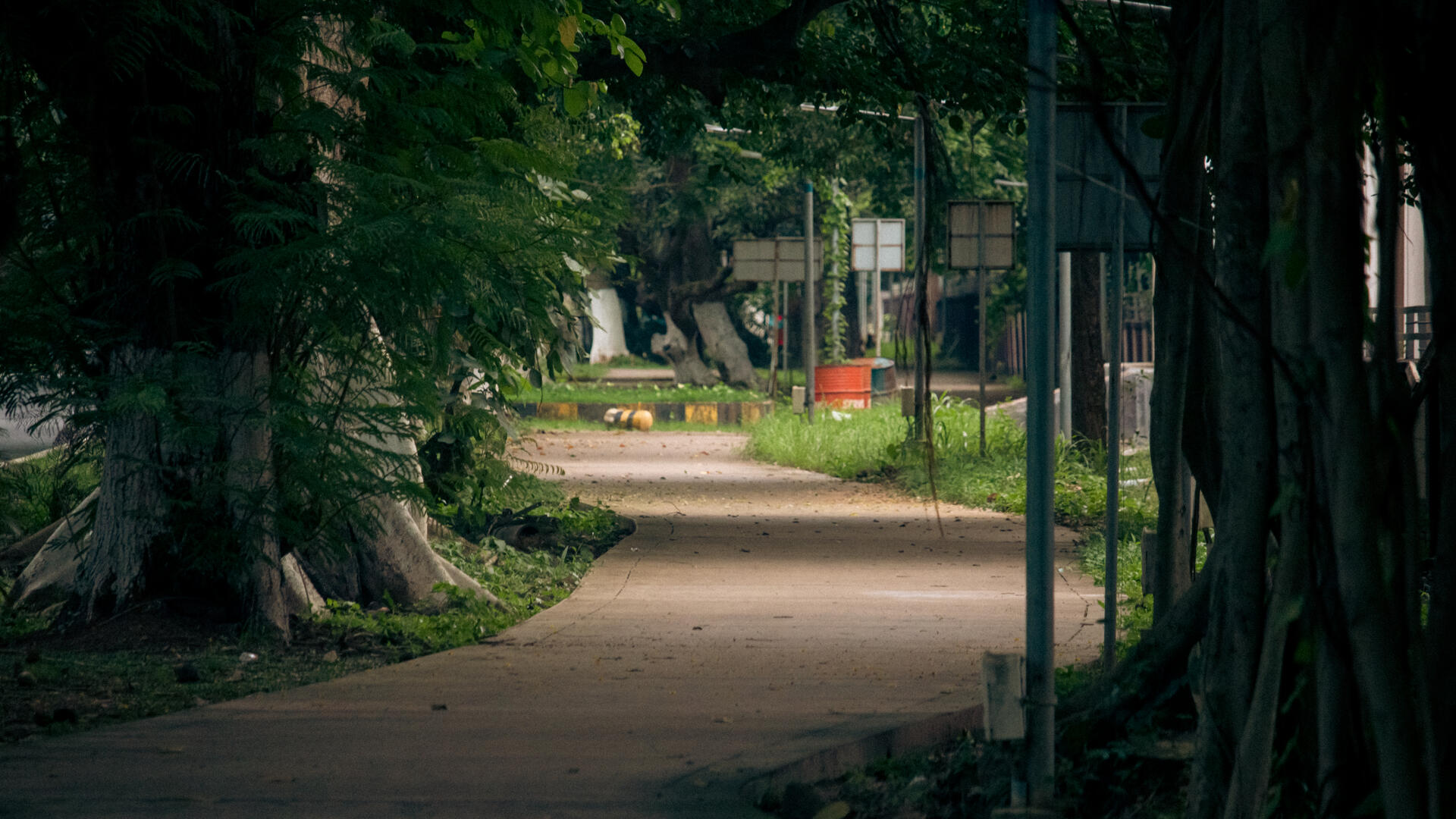 empty-road